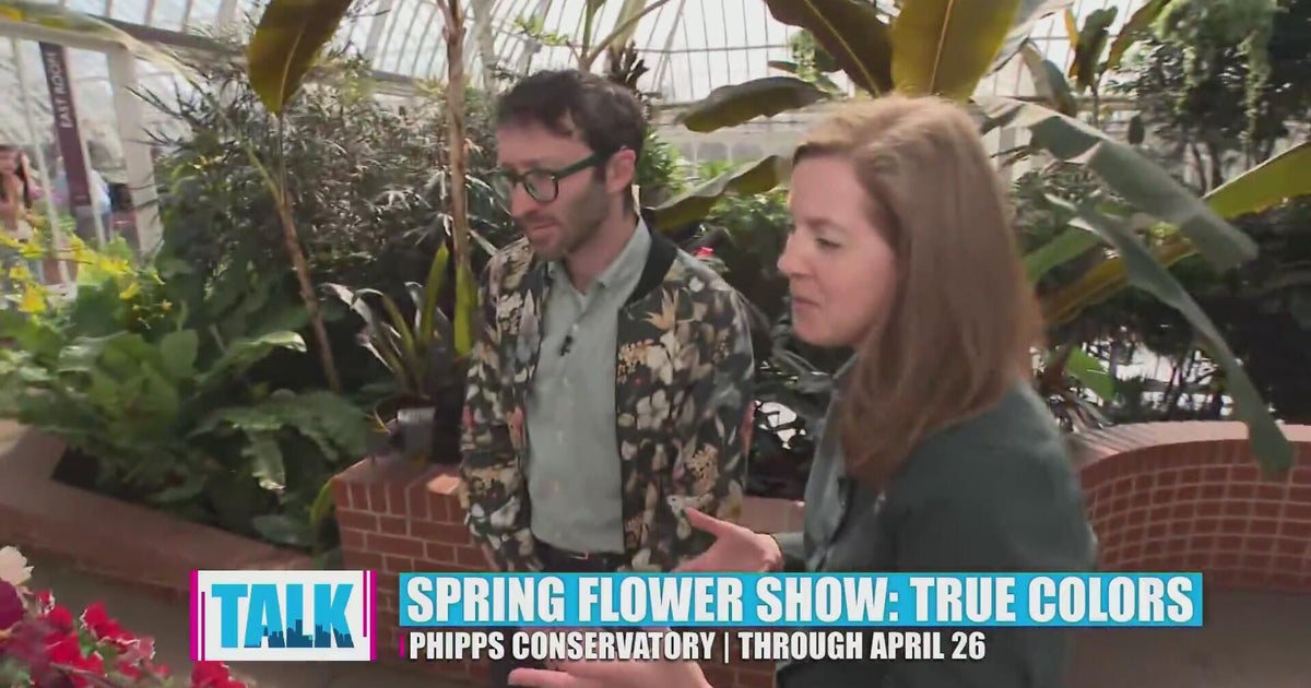 Phipps Spring Flower Show 2023