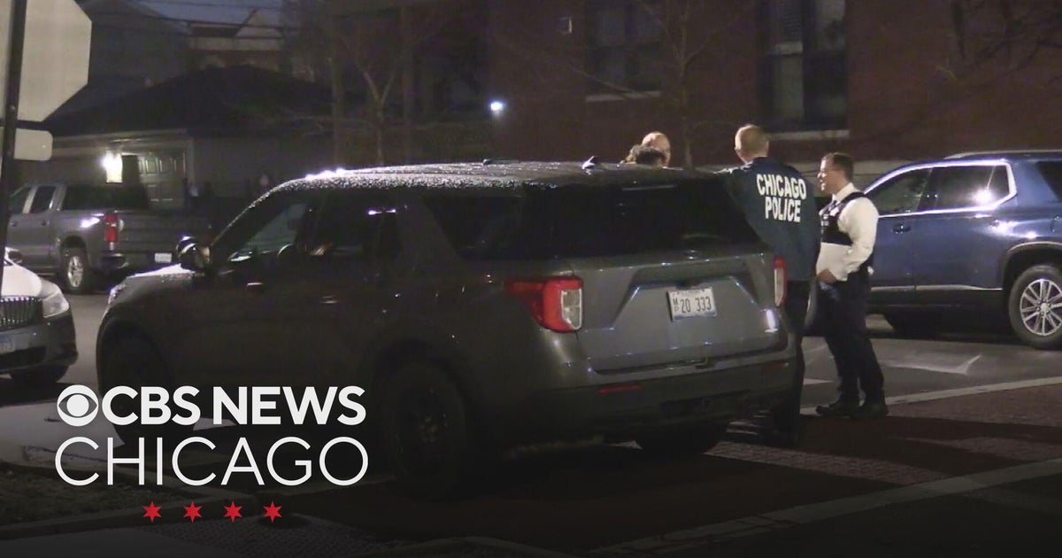 Man arrested in deadly double shooting on Chicago's West Side - CBS Chicago