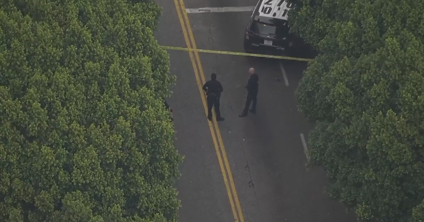 Homeless man wanted for murder allegedly stabs woman in downtown Los Angeles