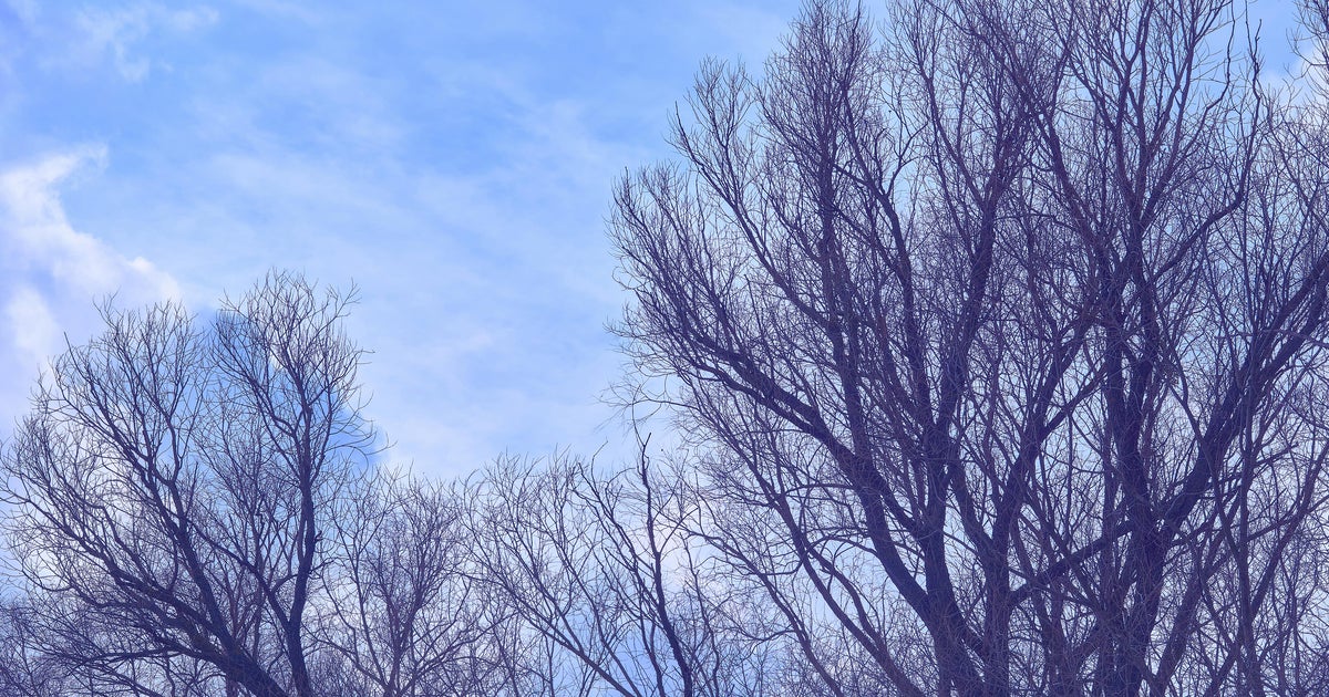 Cooldown in Twin Cities Tuesday, snow possible later in week