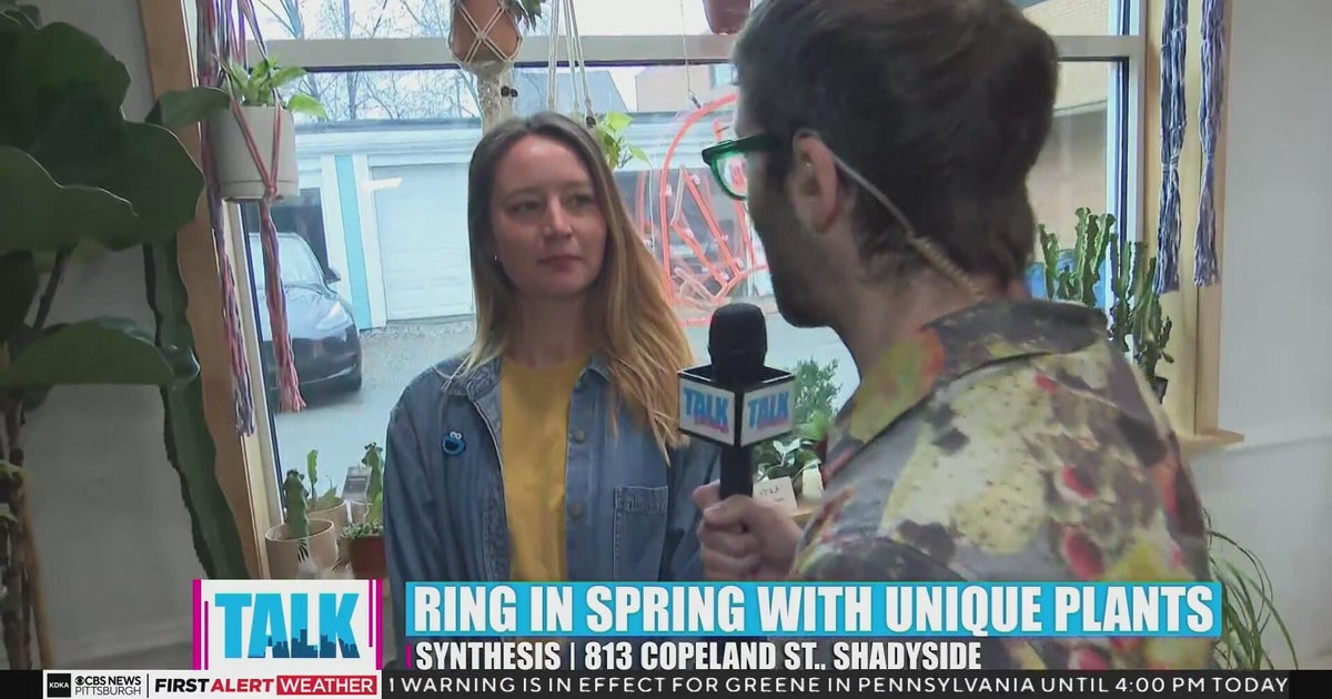 Hanging out at a cozy plant shop - CBS Pittsburgh