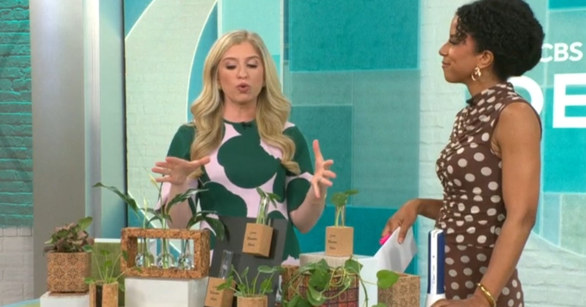 Exclusive discounts from CBS Mornings Deals