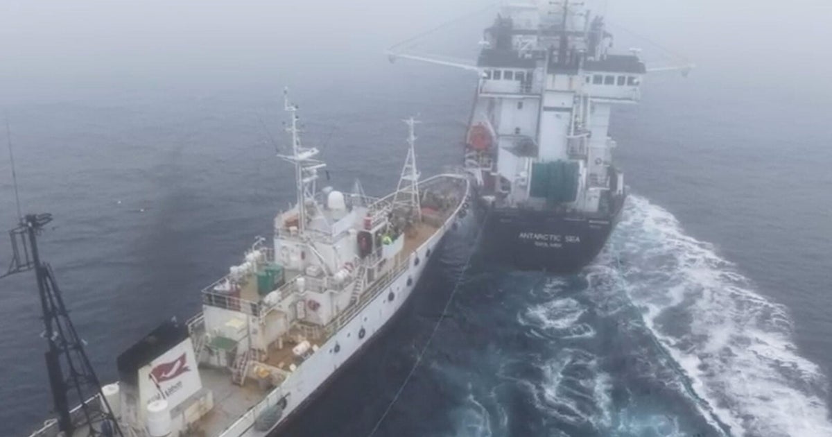 Activist ship's collision with krill trawler off Antarctica called "deliberate attack"