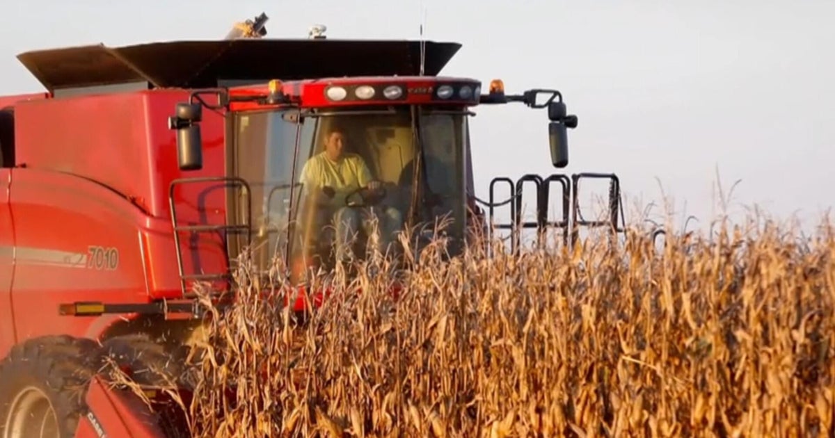 Farm bankruptcies increase over last five years, Politico analysis finds