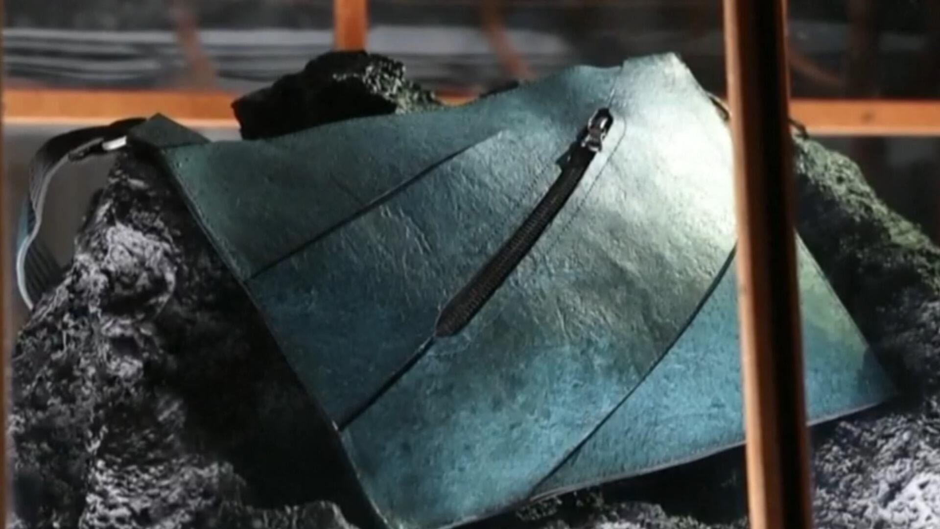 Scientists unveil leather handbag derived from dinosaur DNA - CBS News