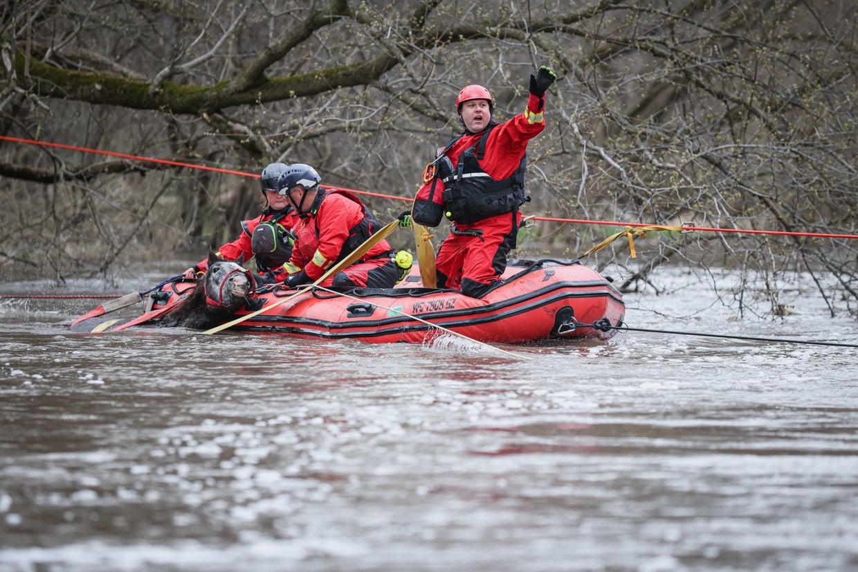 First responders rescue horse from flooded creek near Marengo, Illinois ...