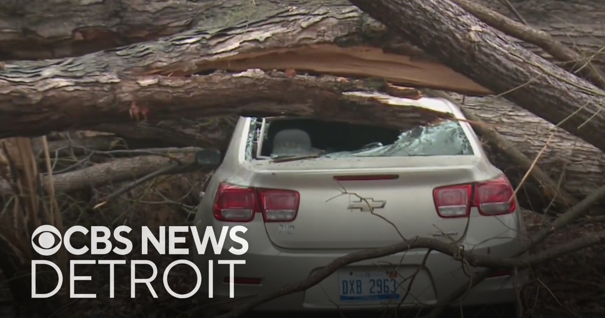 Monroe County residents clean up debris after storms sweep through area ...