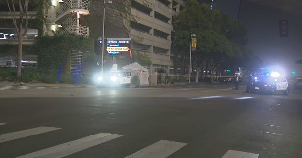 Man in downtown Los Angeles allegedly beats victim to death with pole