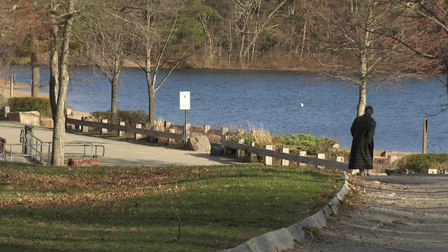 Houghton's Pond 