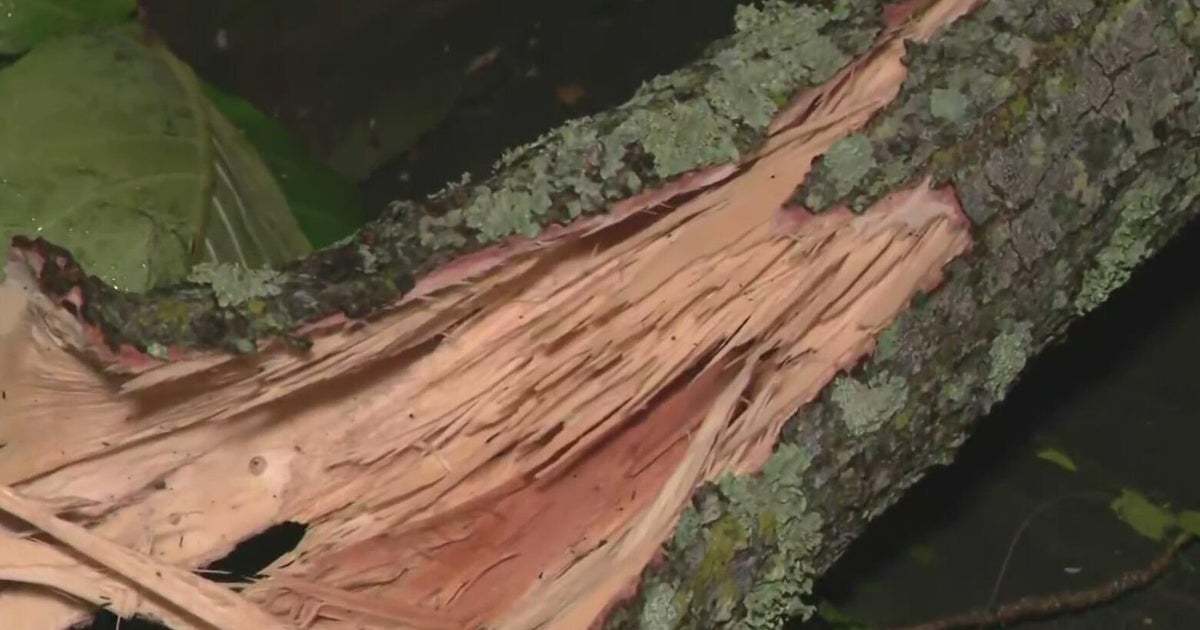 Strong storm creates lots of damage in a Miami-Dade neighborhood