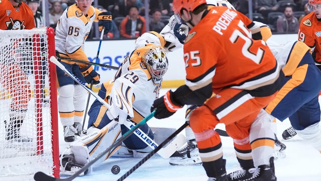Predators Ducks Hockey 