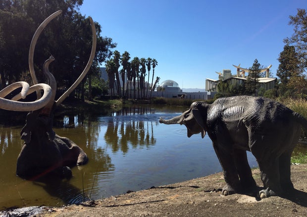academy museum motion pictures hollywood cinema film geffen theater