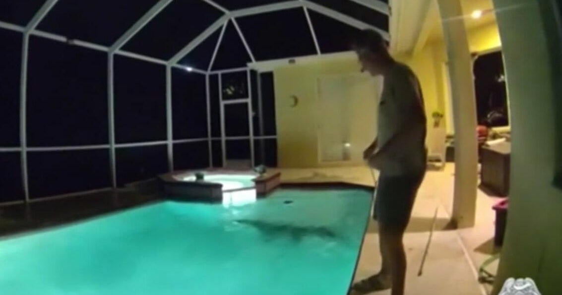 Florida police help remove hissing alligator from family pool