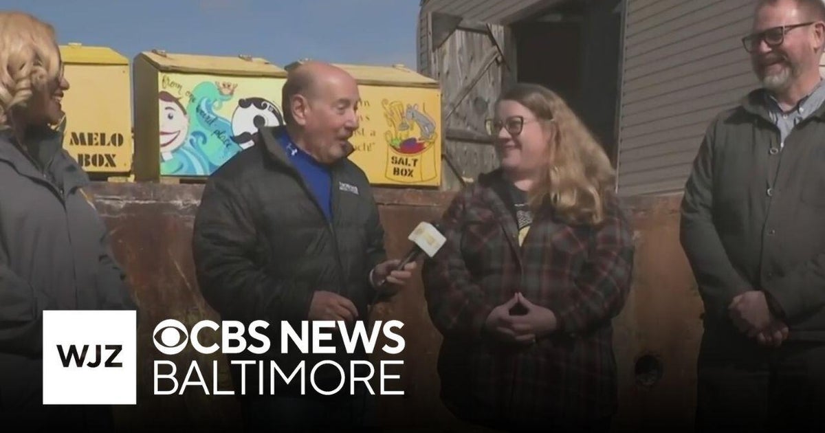 Where's Marty: How salt boxes are transformed with art from Baltimore artists