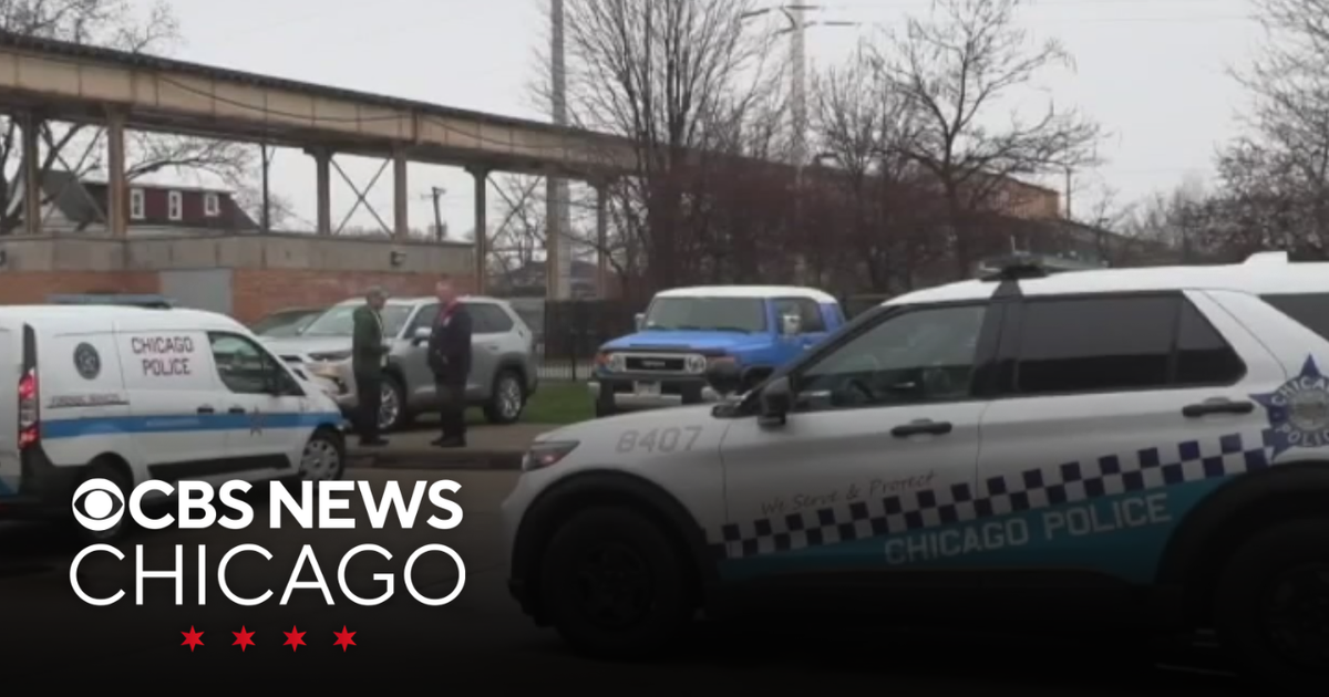 Man with hatchet damages 7 vehicles outside Chicago Fire Department station on South Side