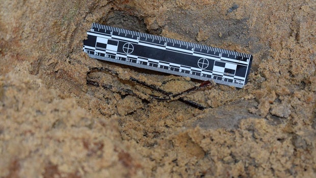 Langwell crime scene 