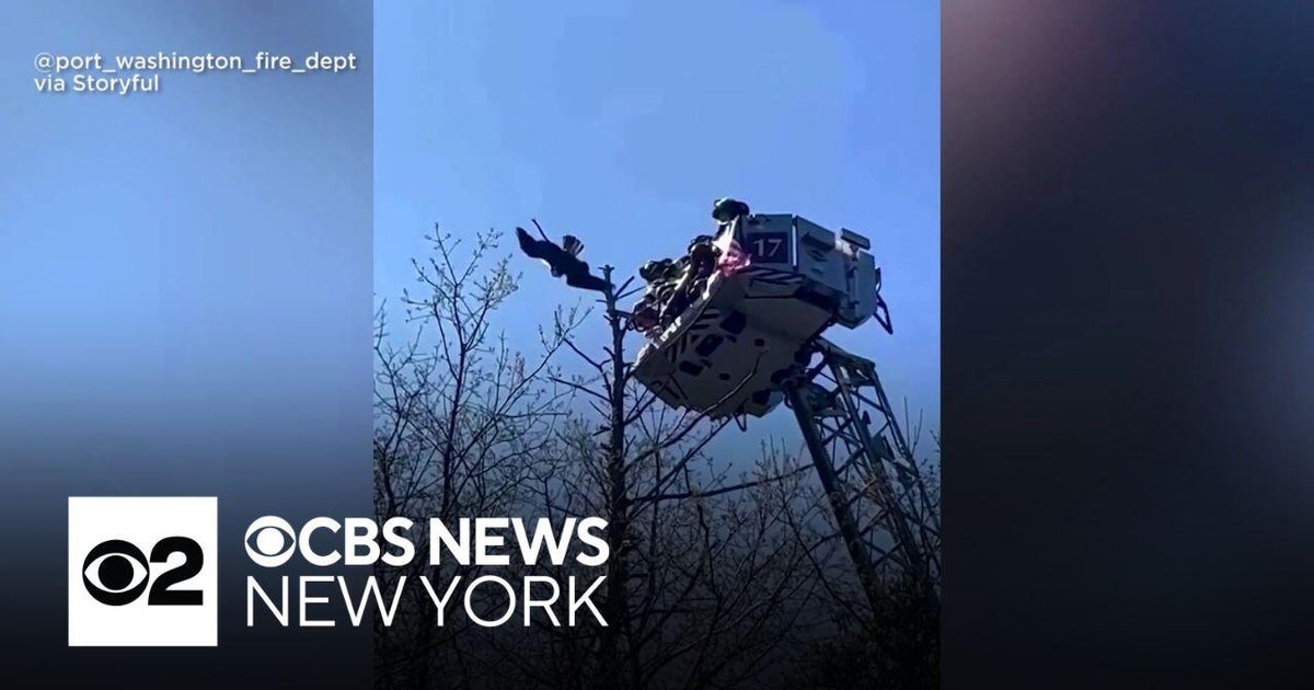 Long Island first responders rescue osprey tangled in fishing line ...