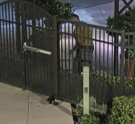 mission-viejo-abandoned-puppy.jpg 
