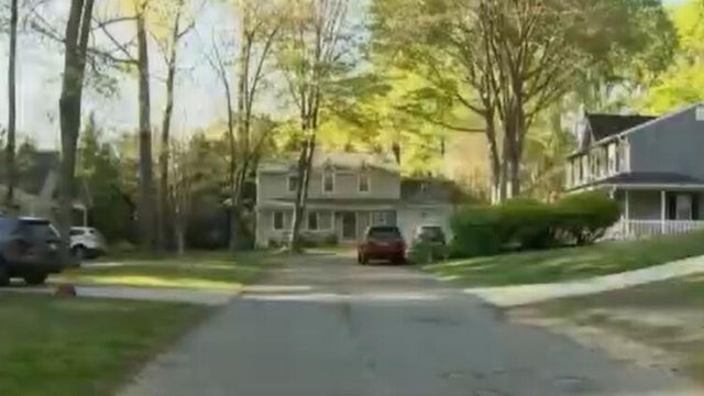 Police lights generic 