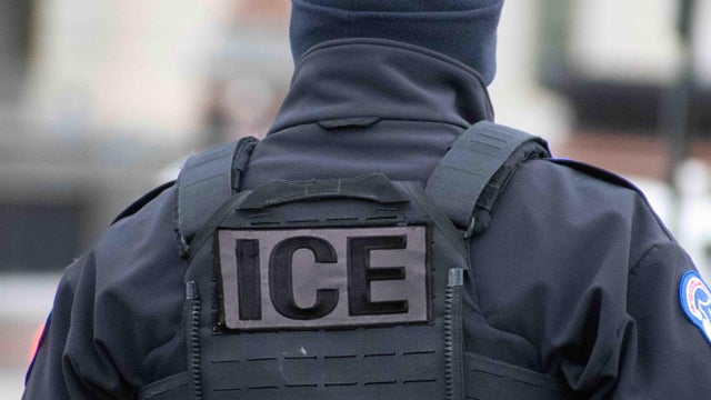 Ice Police Law Enforcement Investigation and Department of Justice Customs Immigration Enforcement 