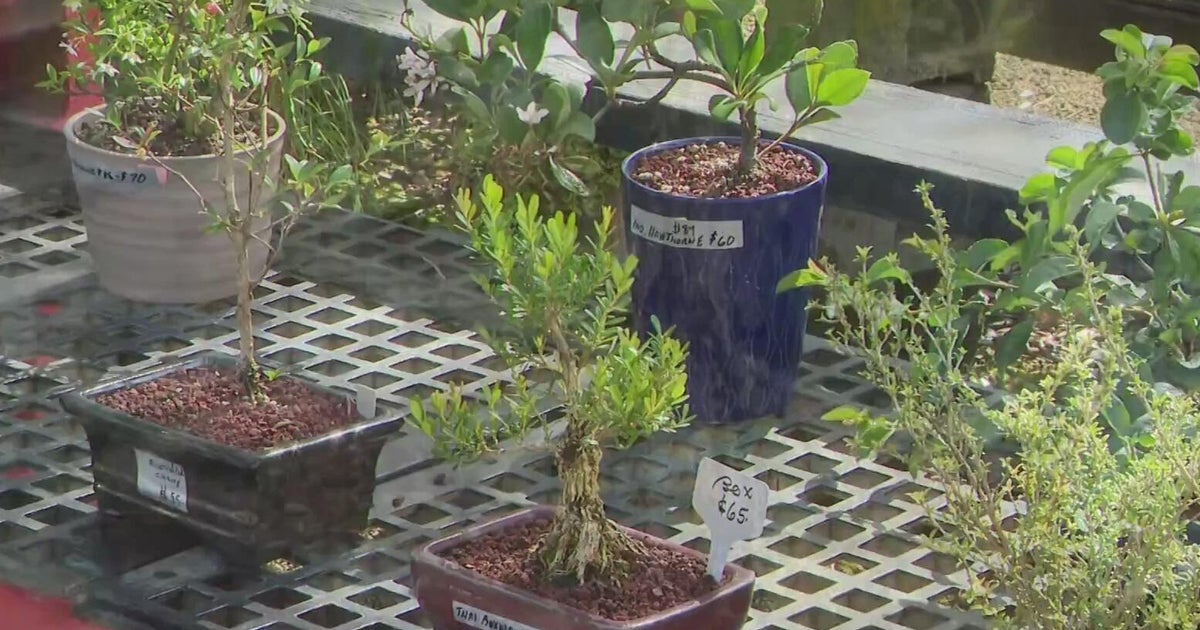 Broward nursery owners seek help identifying women caught on camera stealing over ,000 worth of merchandise