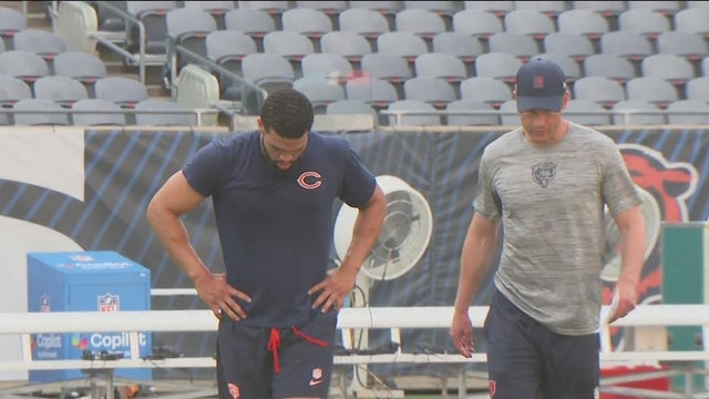Bears' Williams and Johnson 