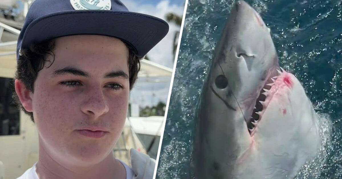 Video shows moment Massachusetts family reels in rare 10-foot great white shark off Fort Lauderdale