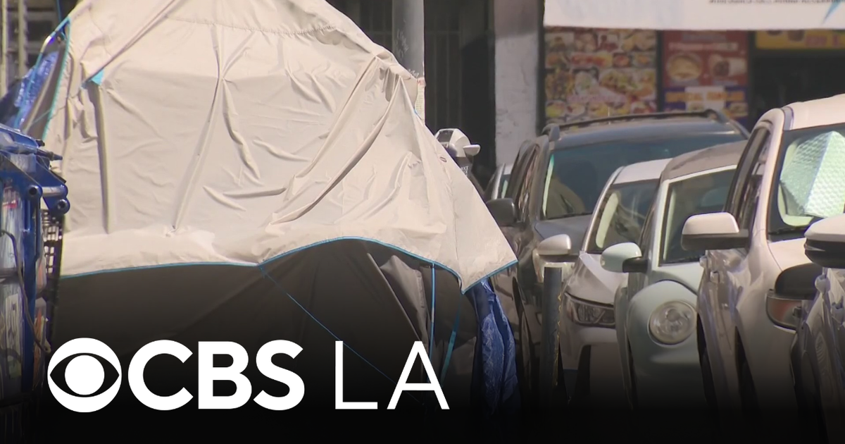 Los Angeles Homeless Services Authority to lay off more than 280 ...