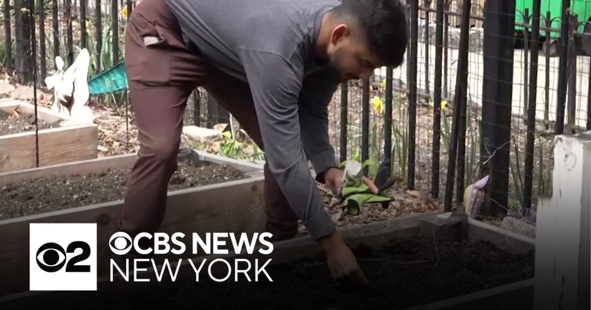 New York City celebrating Earth Day with events - CBS New York