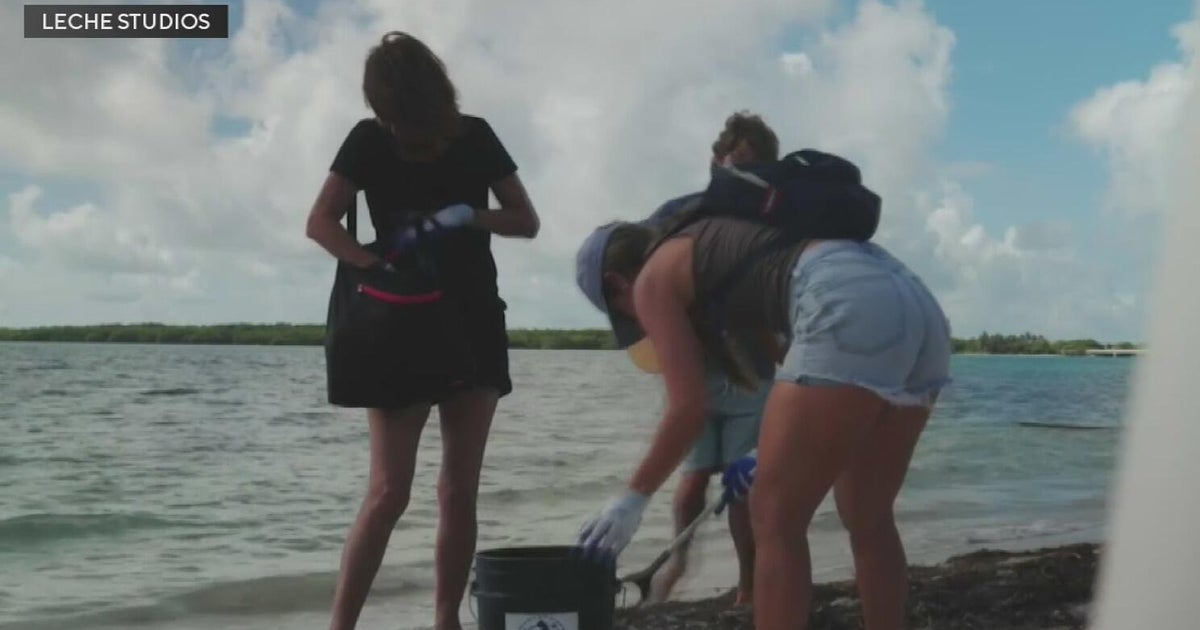 South Florida marks Earth Day with beach, water cleanups