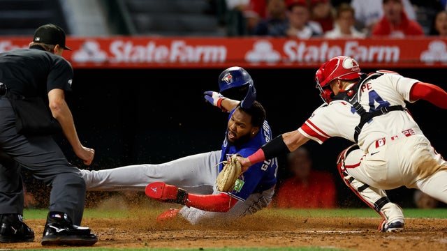 Blue Jays Angels Baseball 