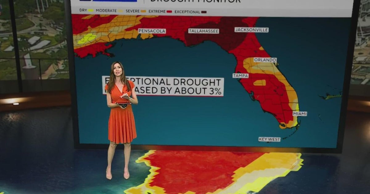 Breezy South Florida forecast brings mild temps, passing showers and ...
