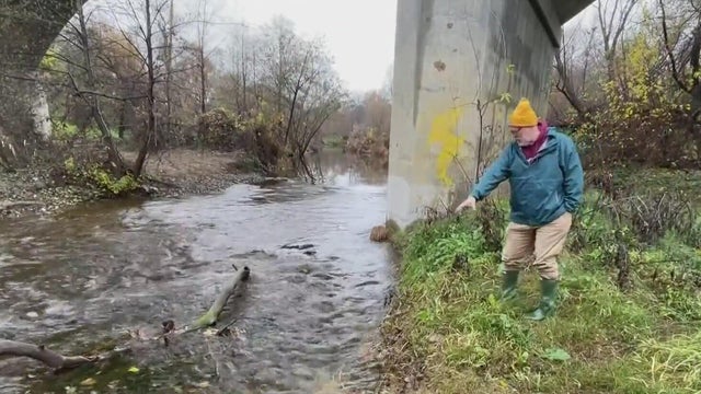redding salmon habitat restoration 