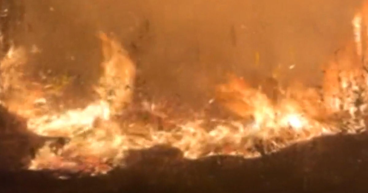 Florida and Georgia wildfires scorch acres