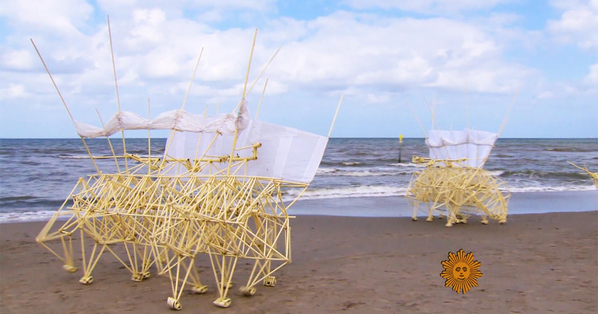 From the archives: Strandbeests, wind-powered works of art