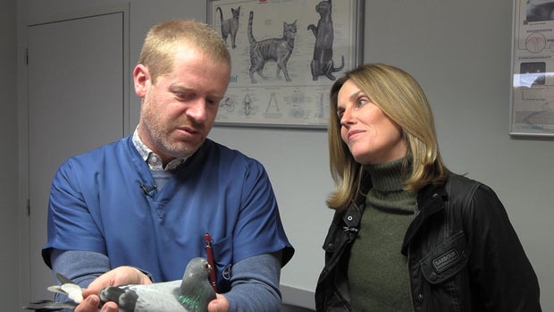 Ruben Lanckriet and Sharyn Alfonsi 