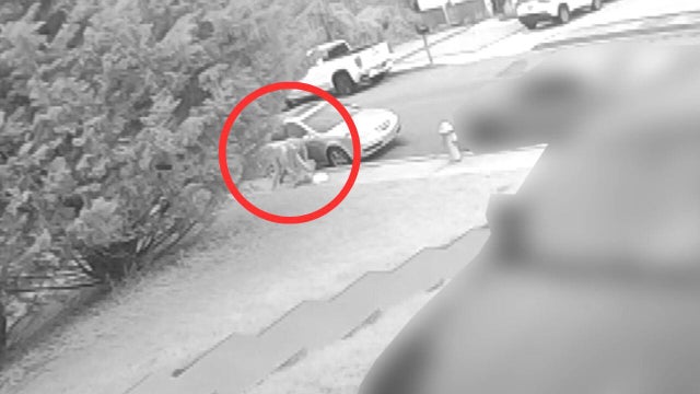 2 Suspects Allegedly Assault Delivery Driver in Balimore County 