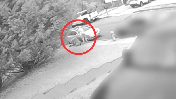 2 Suspects Allegedly Assault Delivery Driver in Baltimore 