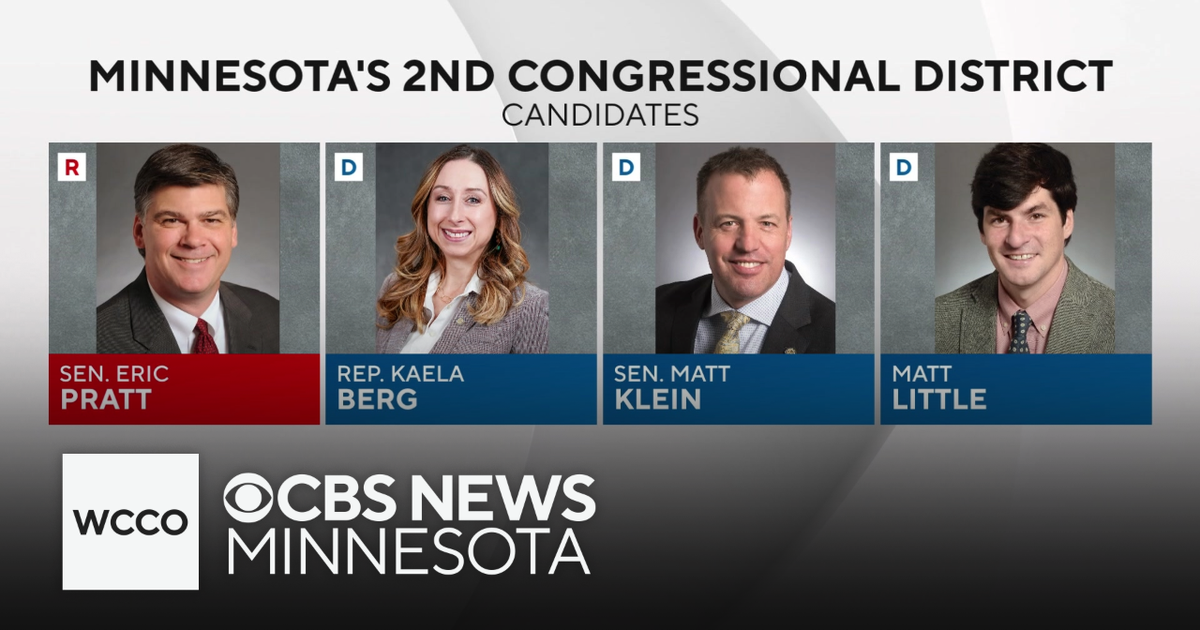 Who will represent the DFL in contentious 2nd Congressional District ...