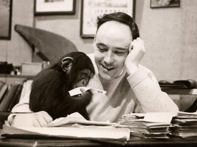 Desmond Morris 