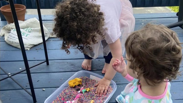 Somerville quarantine 