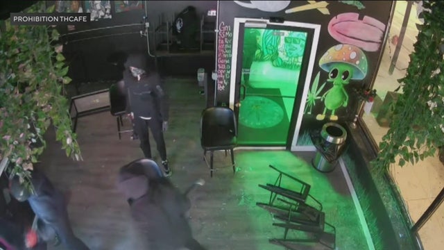 Prohibition THCafe 
