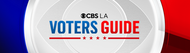 banner-voters-guide-1.png 