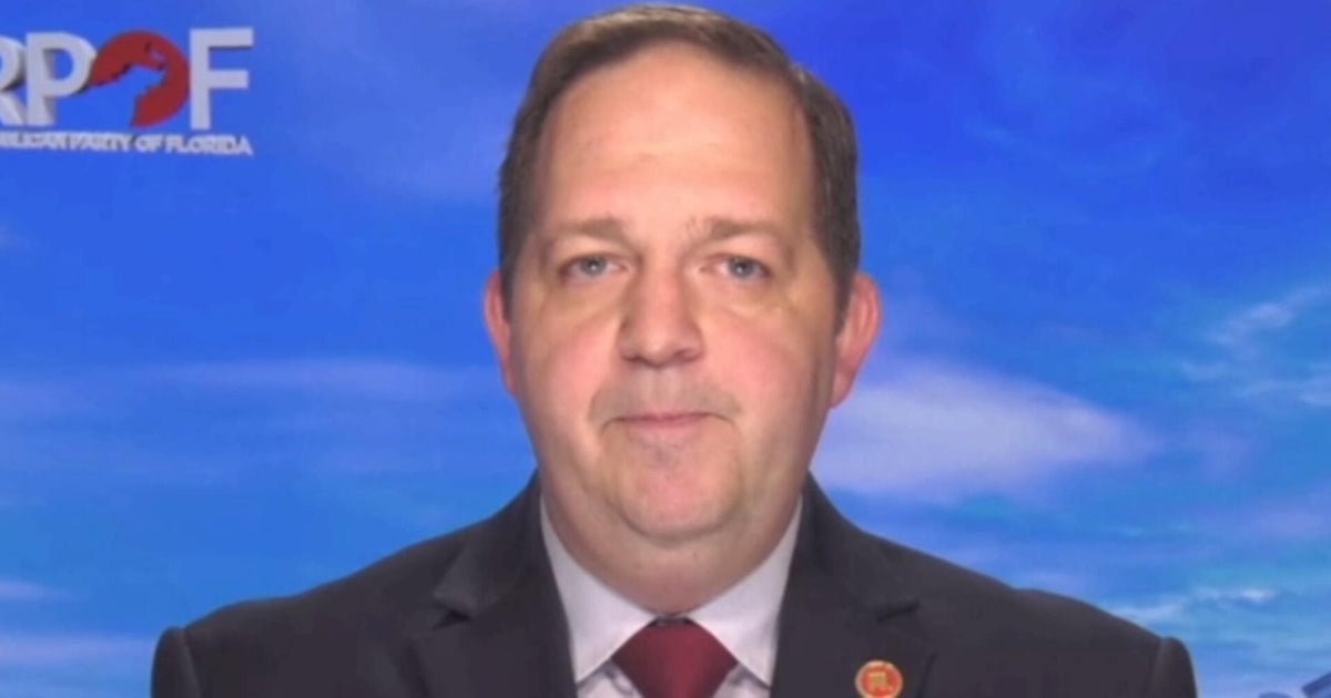 Florida GOP chair says voters will get "fair elections" due to new congressional map