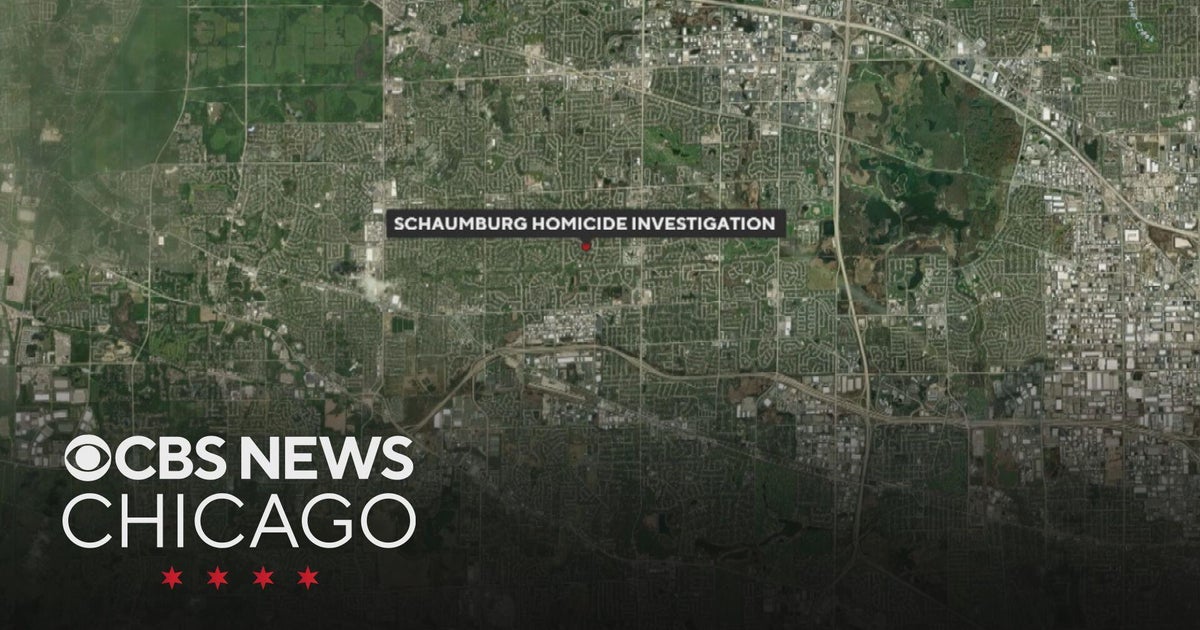 Man arrested after woman found strangled in Schaumburg home - CBS Chicago