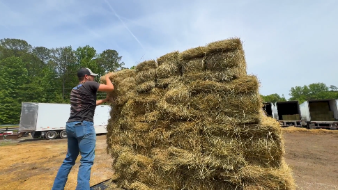 haygeorgiafarmers.png 