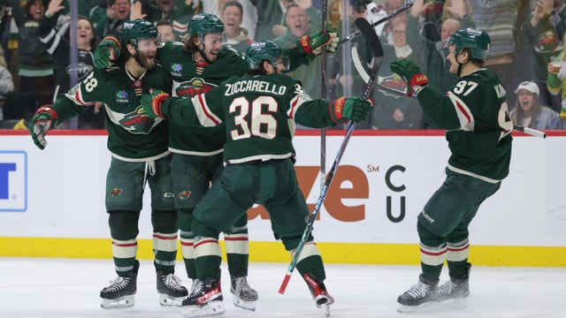 Stars Wild Hockey 