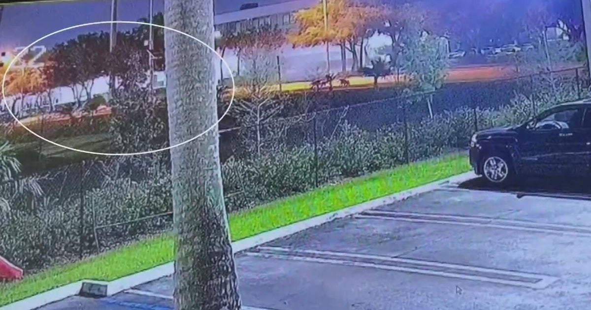 Video shows violent Doral crash that left man dead, vehicle in pieces Friday morning