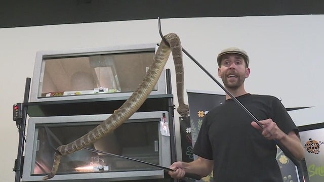 save-the-snakes.jpg 