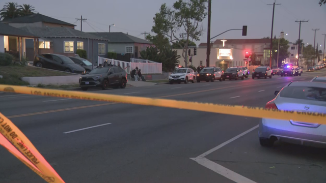 lapd-ois.png 